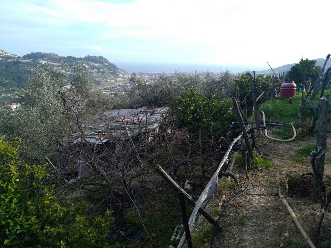 Terreno agricolo in vendita a Taggia