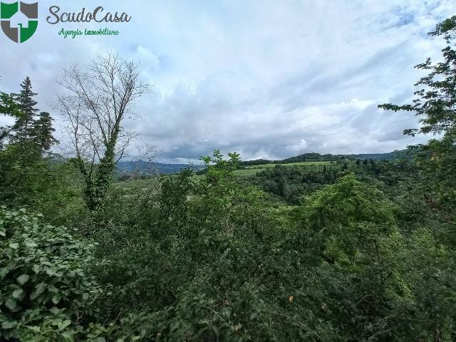 4-room flat in Via Contessa Itta 1, Reggello - Photo 1