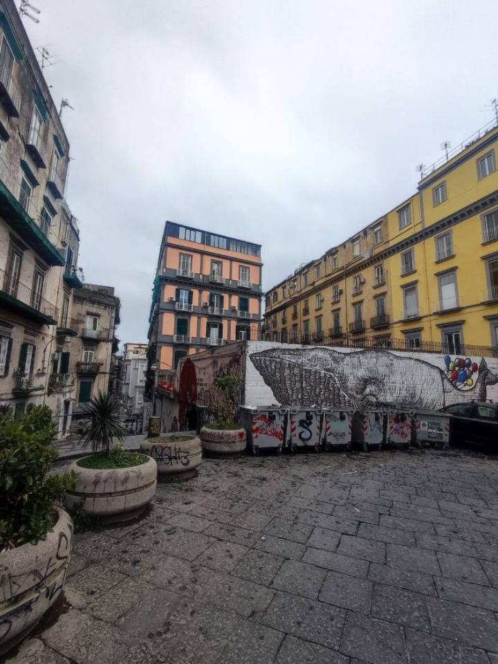 immagine annuncio 14 di 15