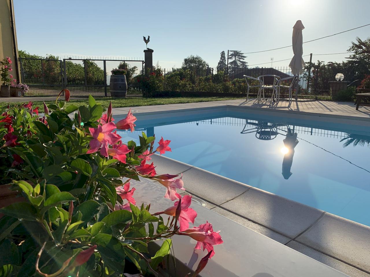 immagine annuncio 3 di 14