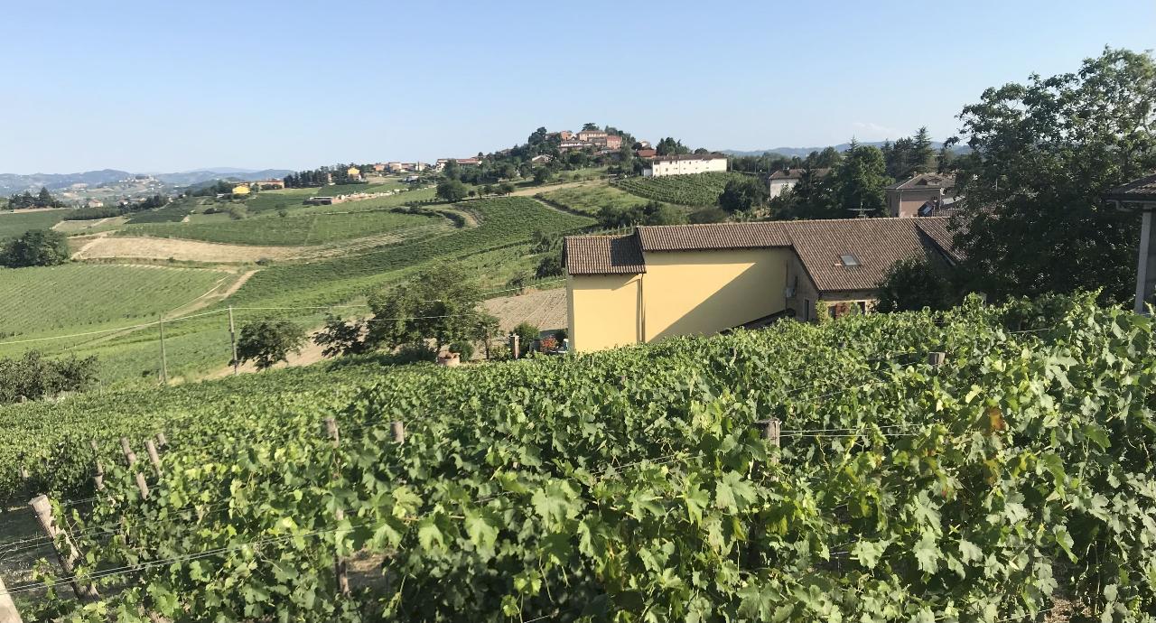 immagine annuncio 5 di 14