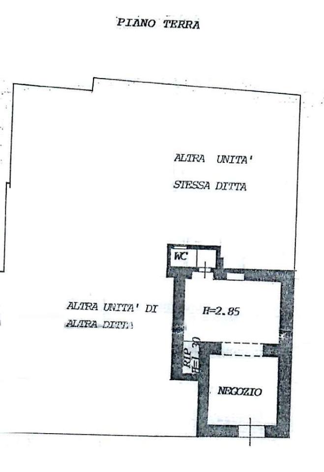 Negozio in Via Palestro, Massa - Foto 1