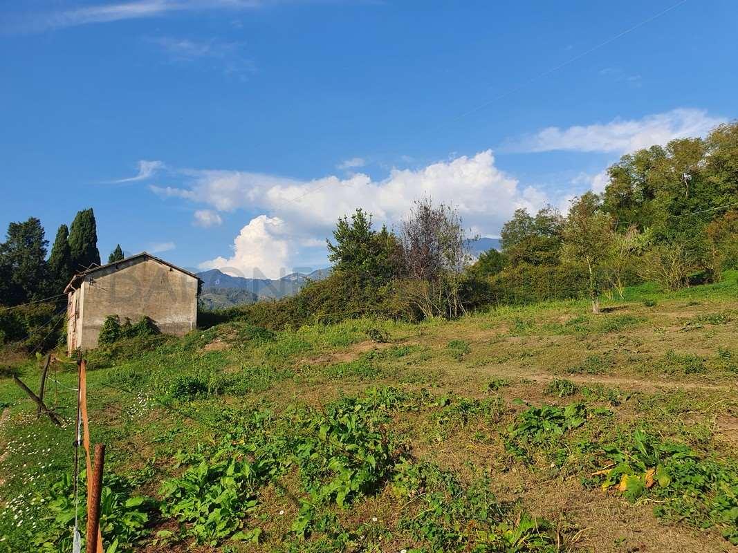 Rustico in vendita a Carrara