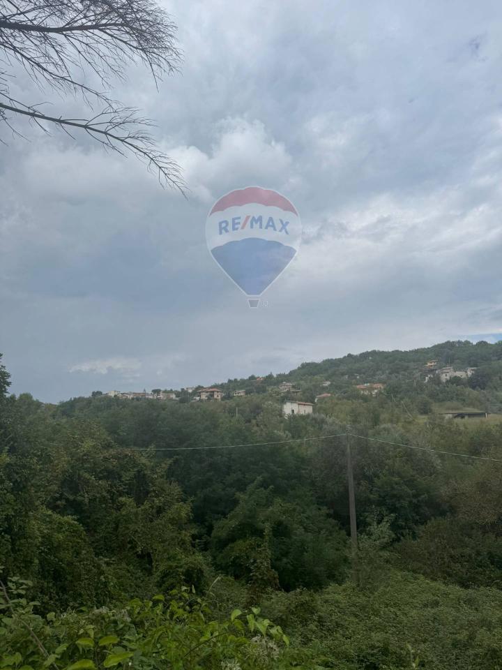 immagine annuncio 6 di 8