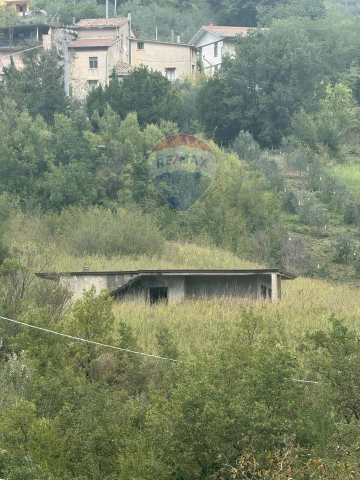 immagine annuncio 3 di 8