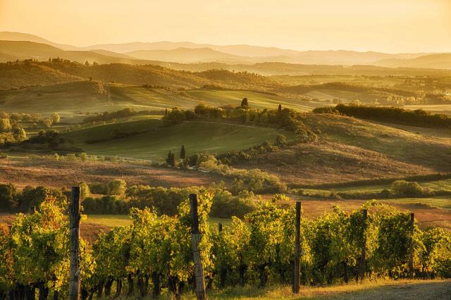 Rustico, Castelnuovo Berardenga - Foto 1