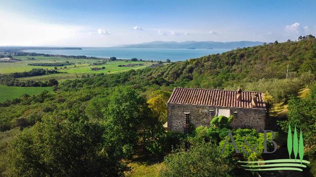 Landhaus in Panicale, Panicale - Foto 1