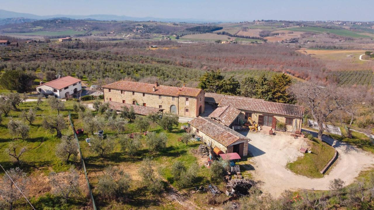 Azienda agricola in Paciano, Paciano - Foto 1