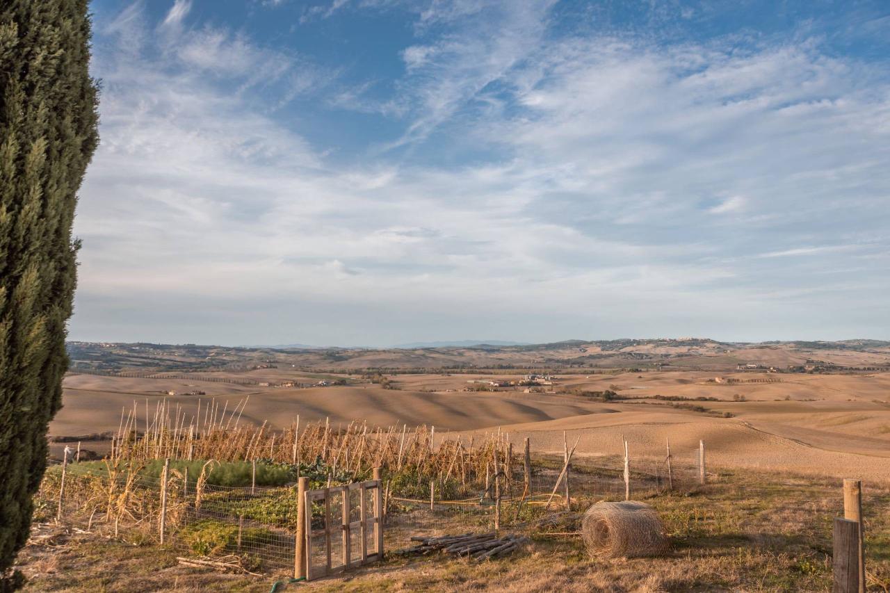 Azienda agricola in vendita a Asciano