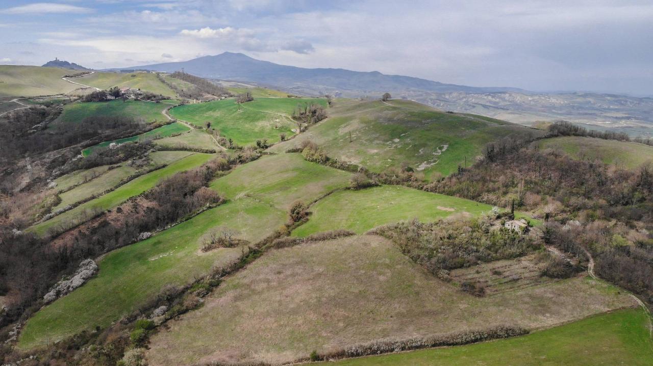 Azienda agricola in vendita a Asciano