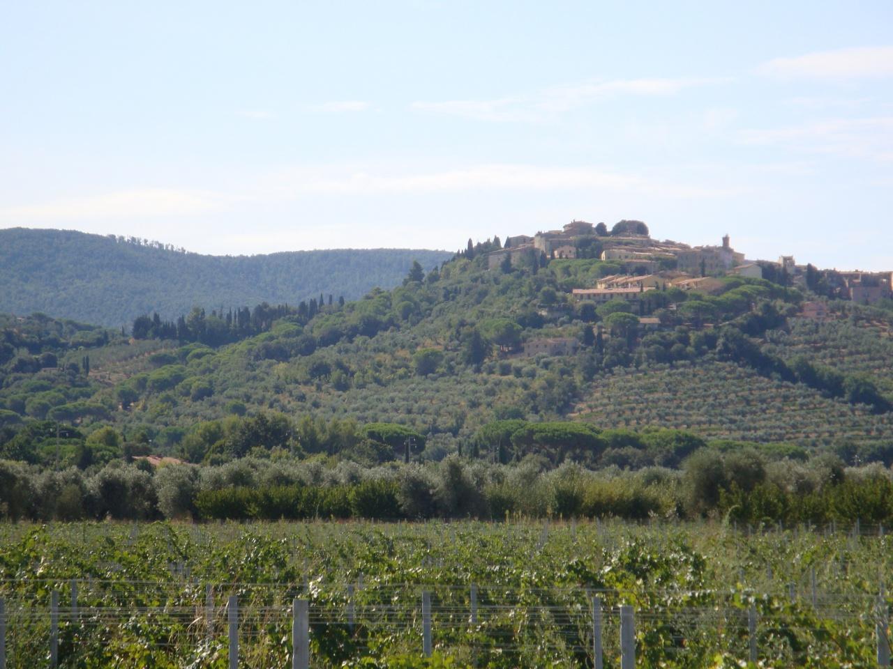 Azienda agricola in , Castagneto Carducci - Foto 1