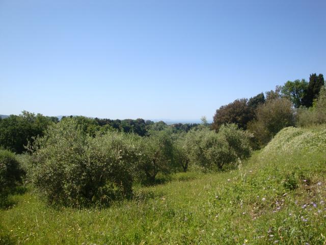 Residenzielles Bauland, Guardistallo - Foto 1