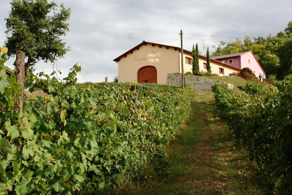 Aziende agricole in Vendita Arezzo e provincia 12 annunci