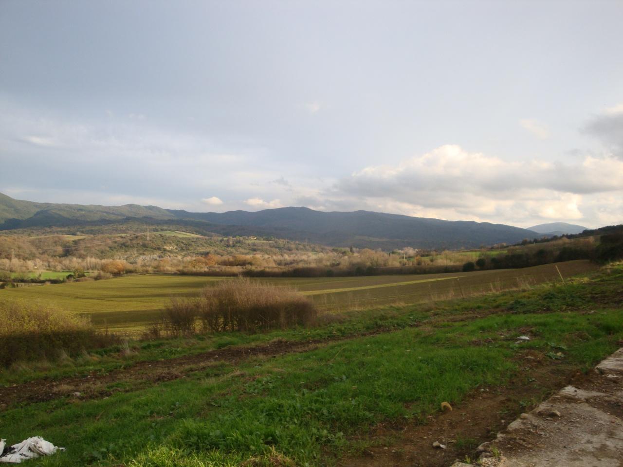 Azienda agricola in , Bibbona, {3} - Foto 1