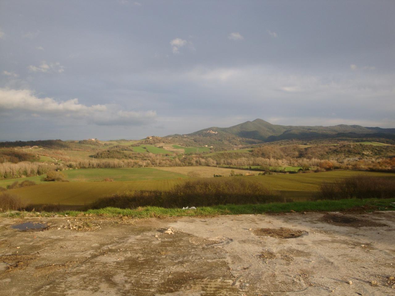 Azienda agricola in , Bibbona, {3} - Foto 2
