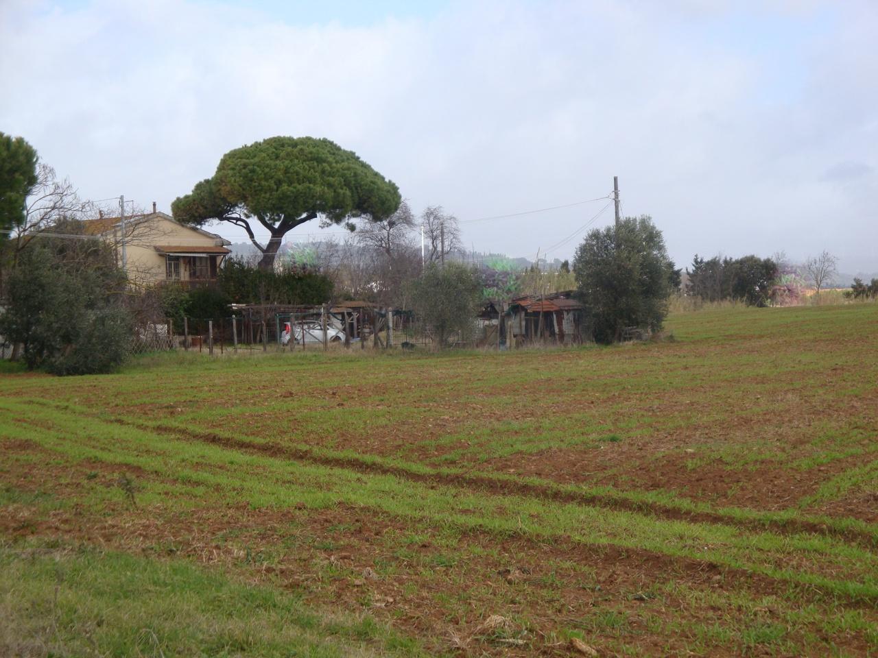 Terreno con rustico in vendita a Rosignano Marittimo