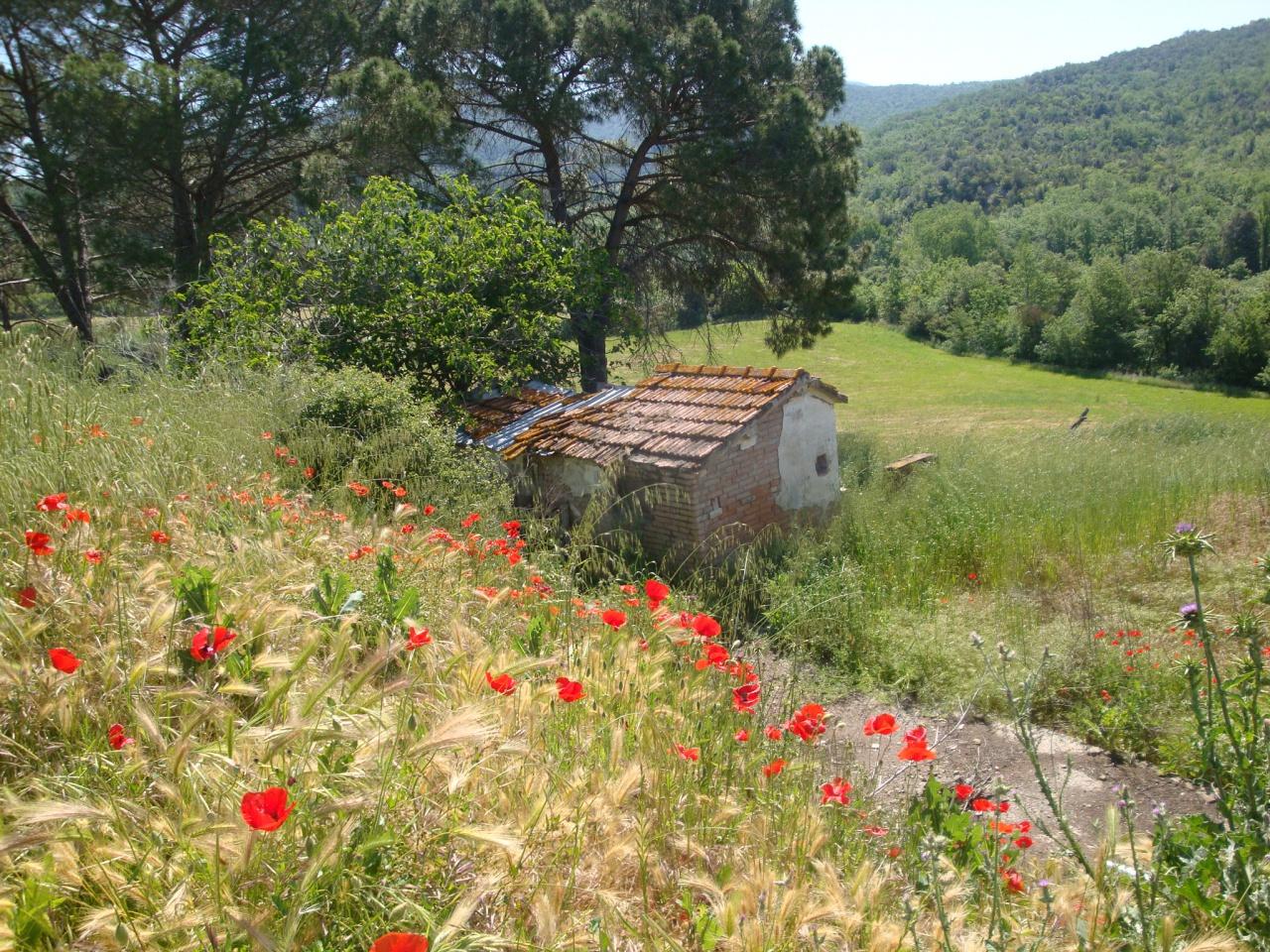 Azienda agricola in , Montecatini Val Di Cecina, {3} - Foto 2