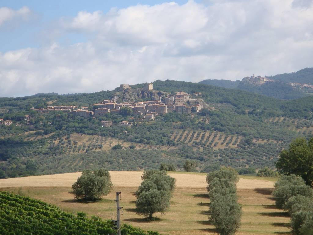 Azienda agricola in , Roccastrada - Foto 1