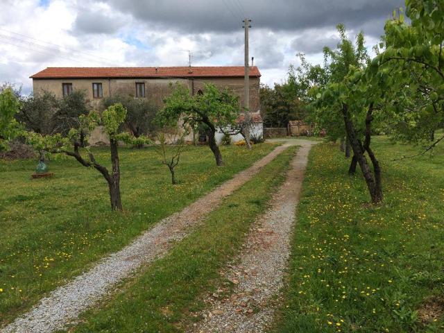 Landhaus, Scarlino - Foto 1