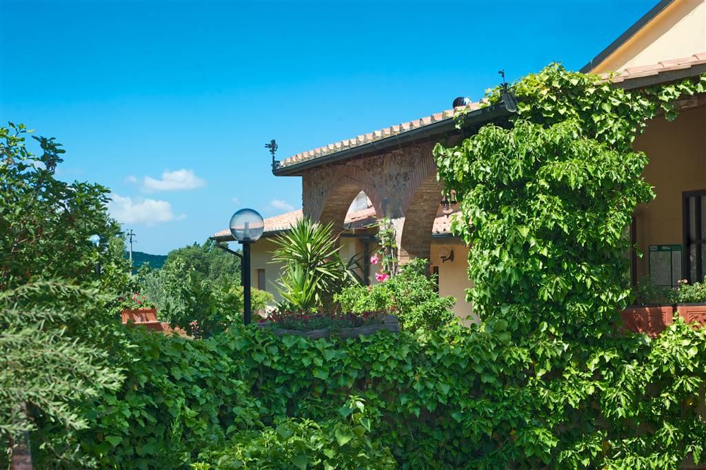 Hotel in , Follonica, {3} - Foto 2