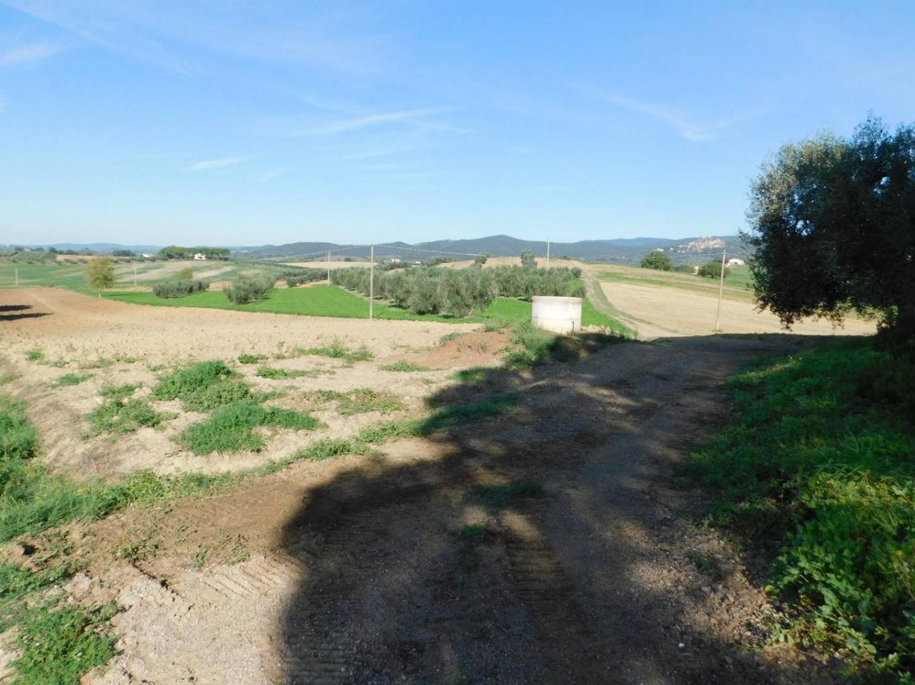 Azienda agricola in , Roccastrada, {3} - Foto 2