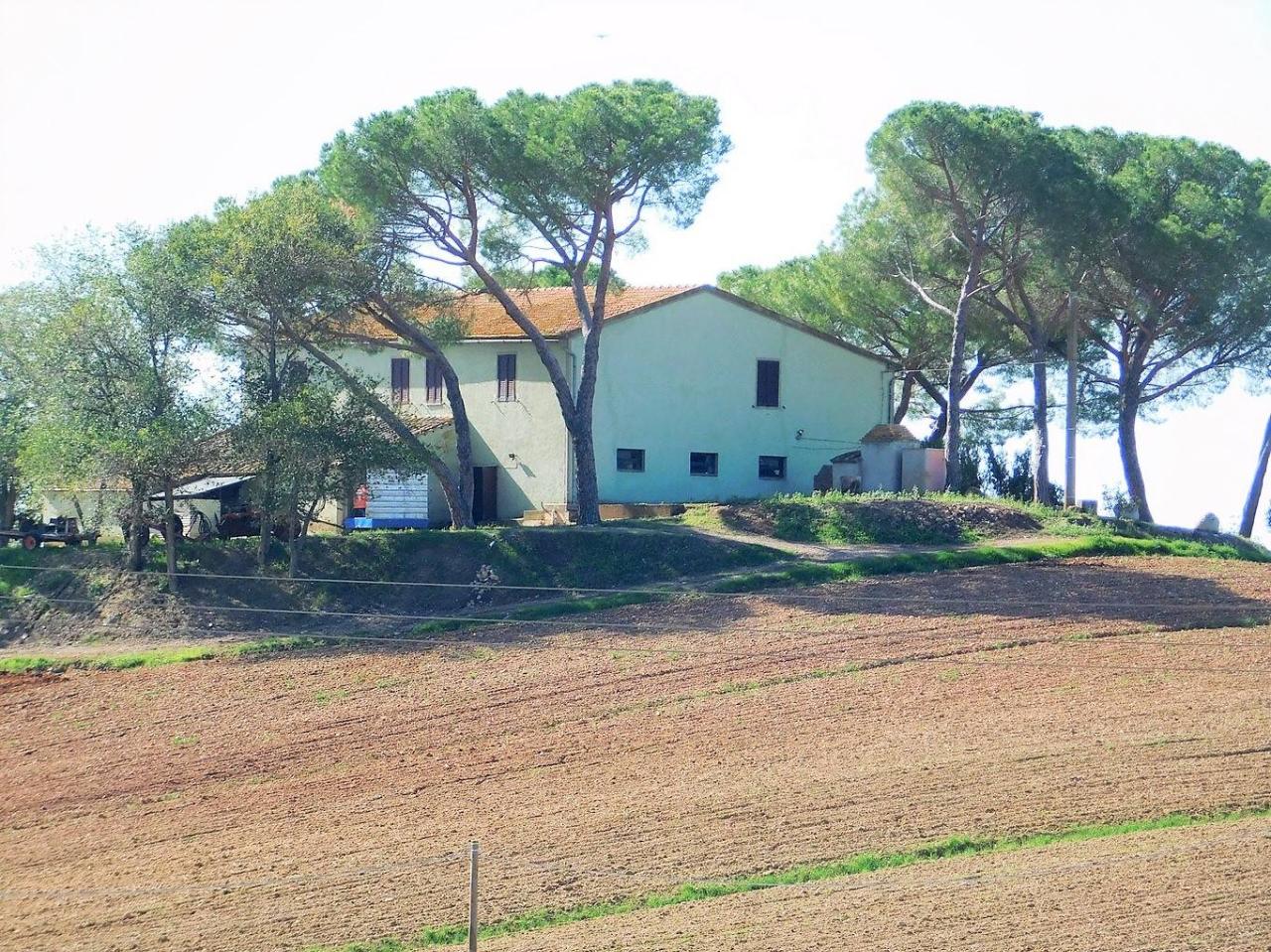 Azienda agricola in , Roccastrada, {3} - Foto 1