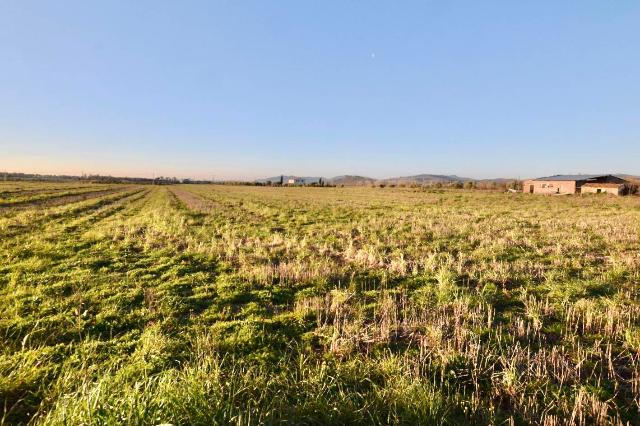 Terreno agricolo, Roccastrada - Foto 1