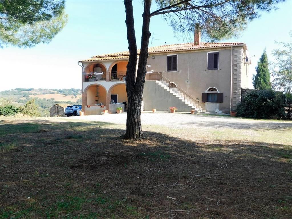 Azienda agricola in , Campagnatico, {3} - Foto 2