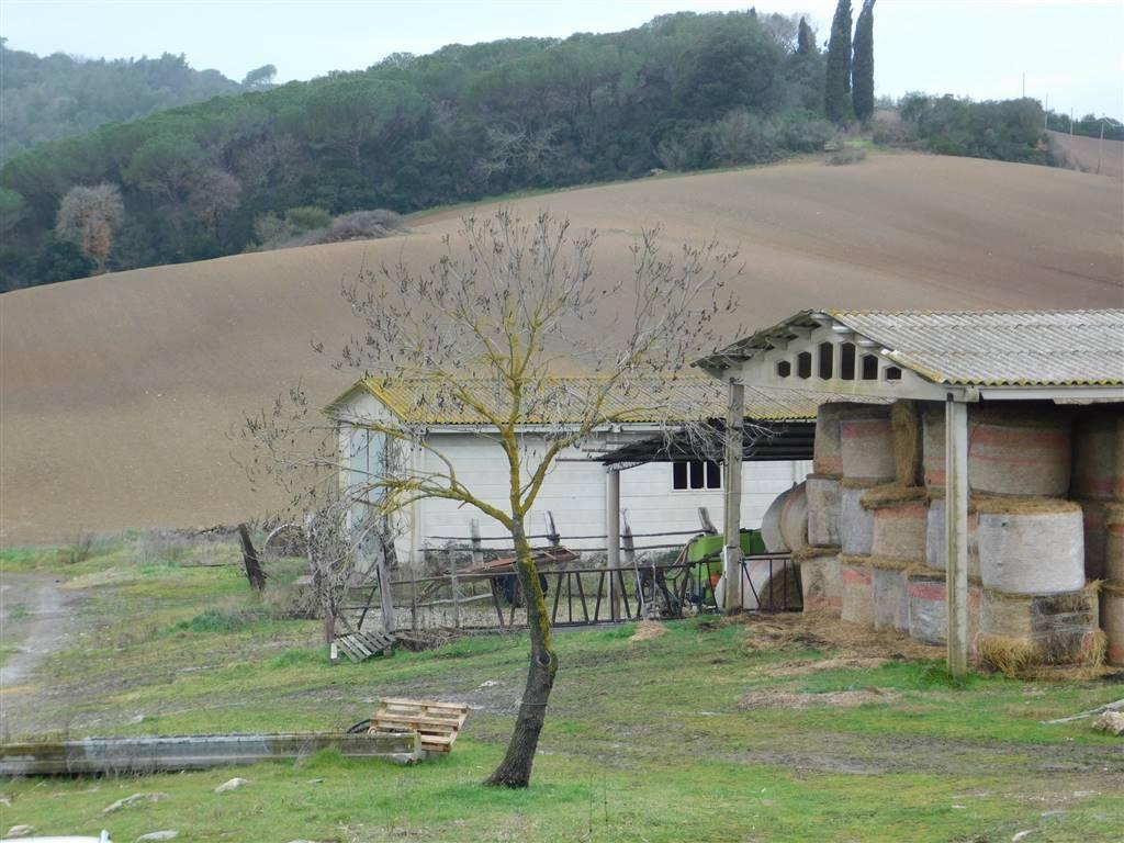Azienda agricola in , Gavorrano, {3} - Foto 1