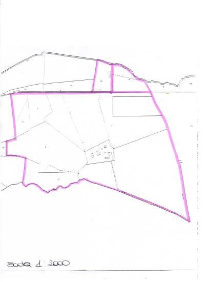 Azienda agricola in , Gavorrano, {3} - Planimetria 1