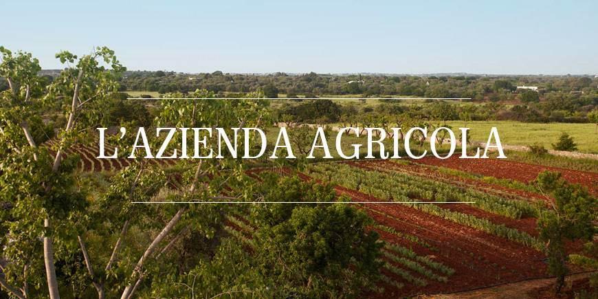 Azienda agricola in , Capalbio, {3} - Foto 1