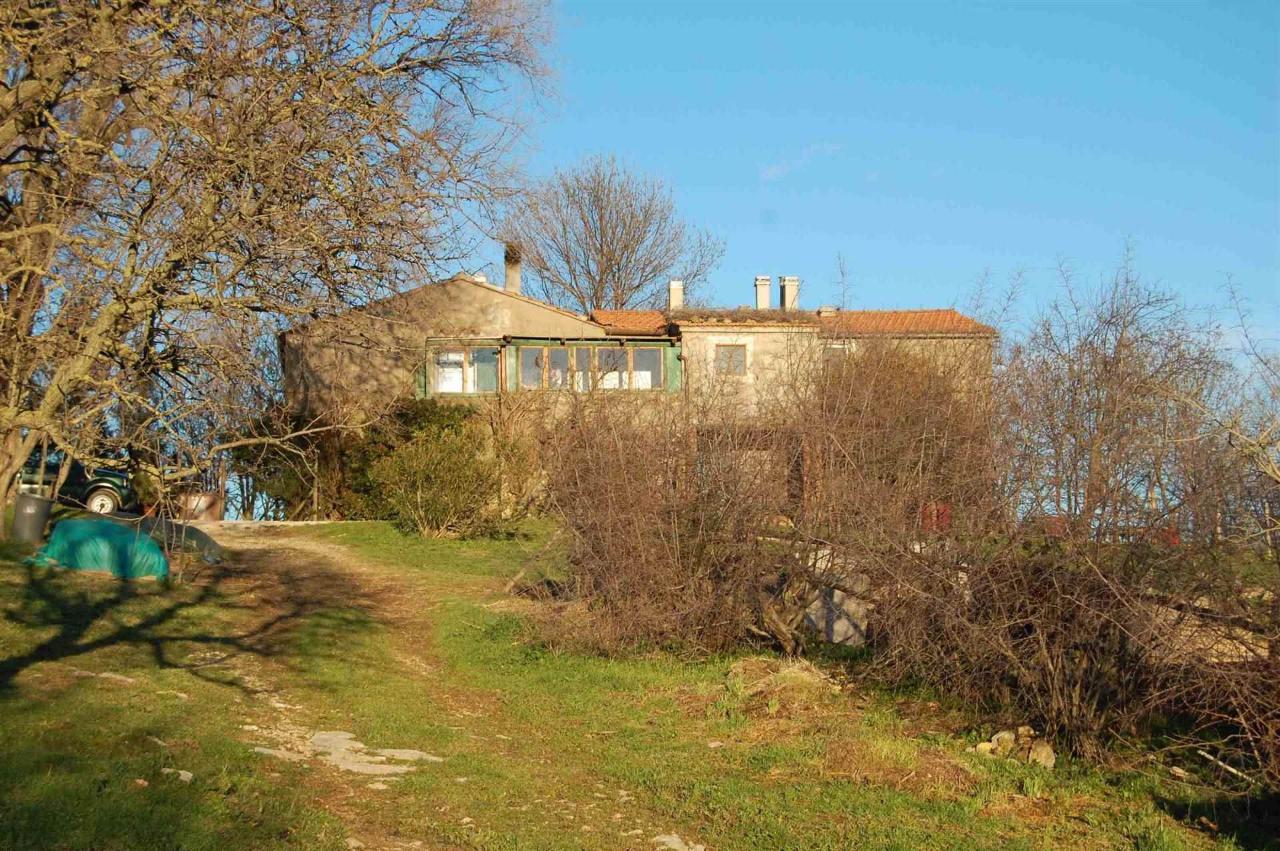 Azienda agricola in , Scansano, {3} - Foto 1