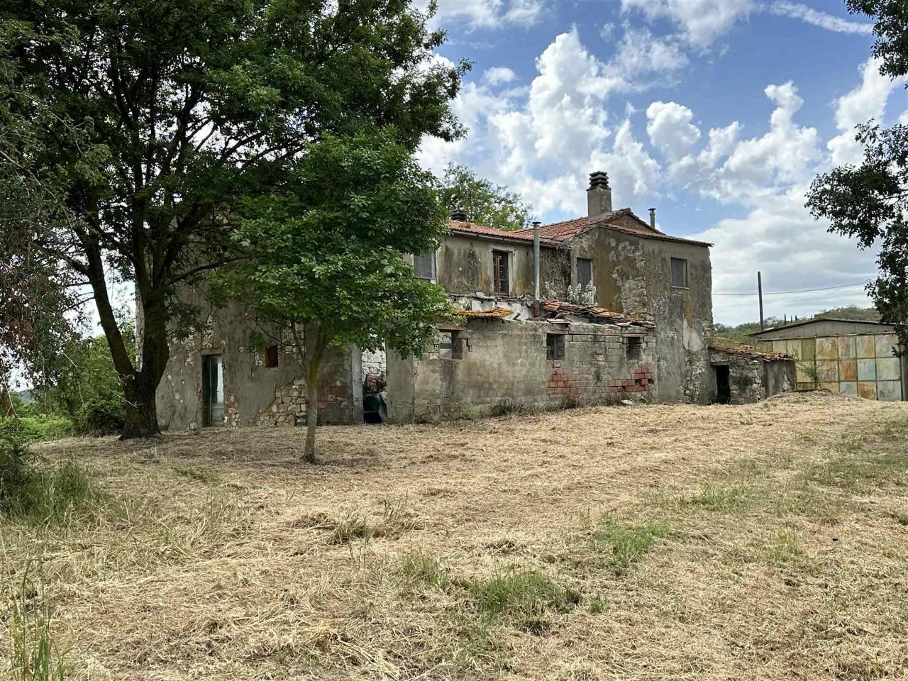 Azienda agricola in , Scansano, {3} - Foto 2