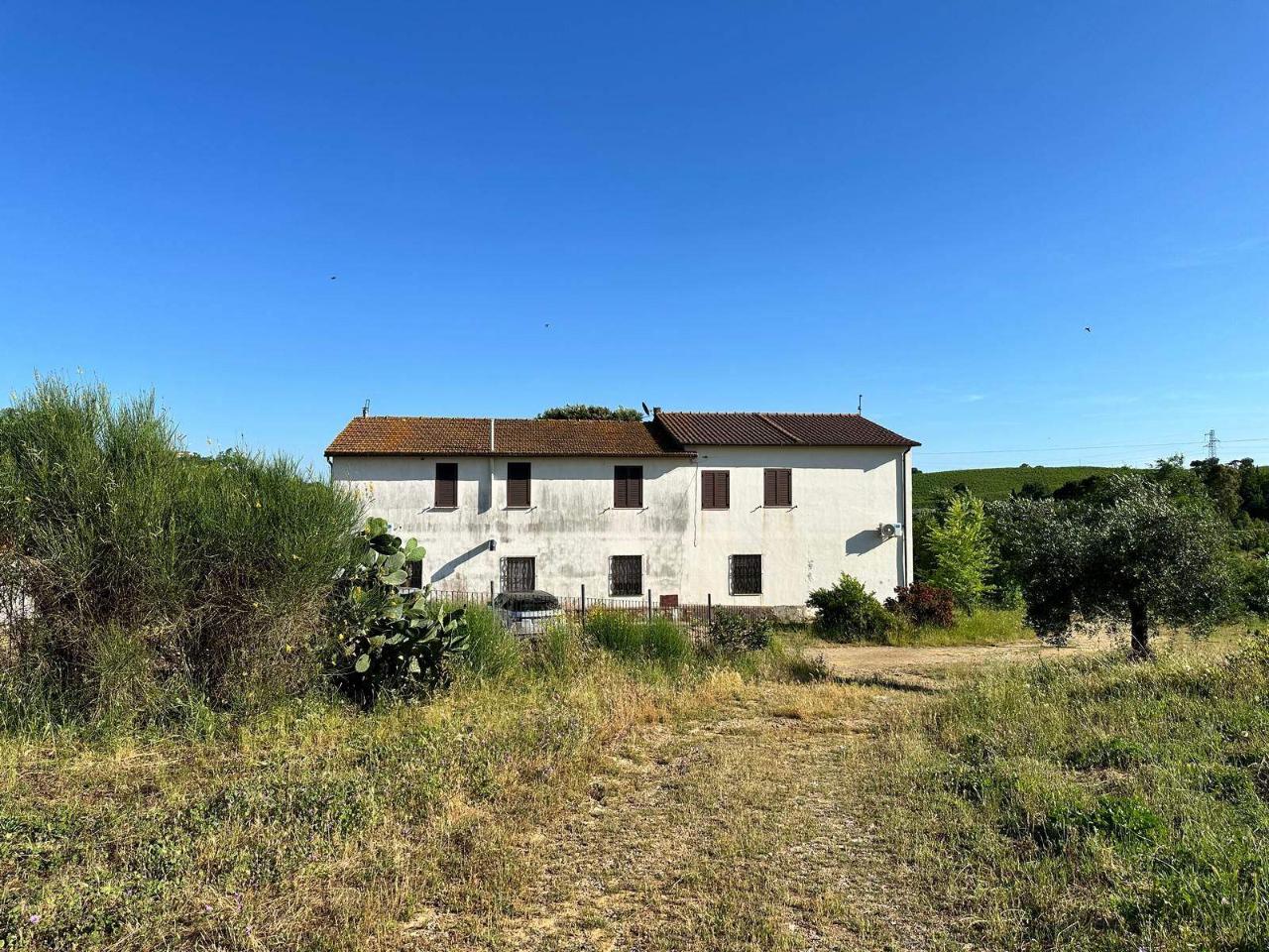 Azienda agricola in , Magliano In Toscana, {3} - Foto 1