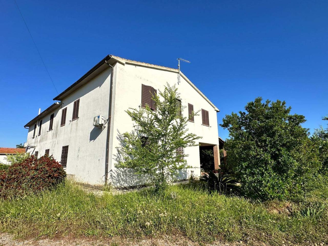 Azienda agricola in , Magliano In Toscana, {3} - Foto 2