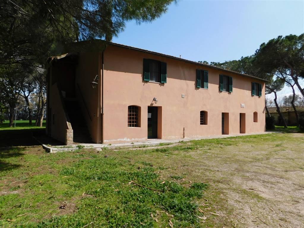 Azienda agricola in , Follonica, {3} - Foto 2