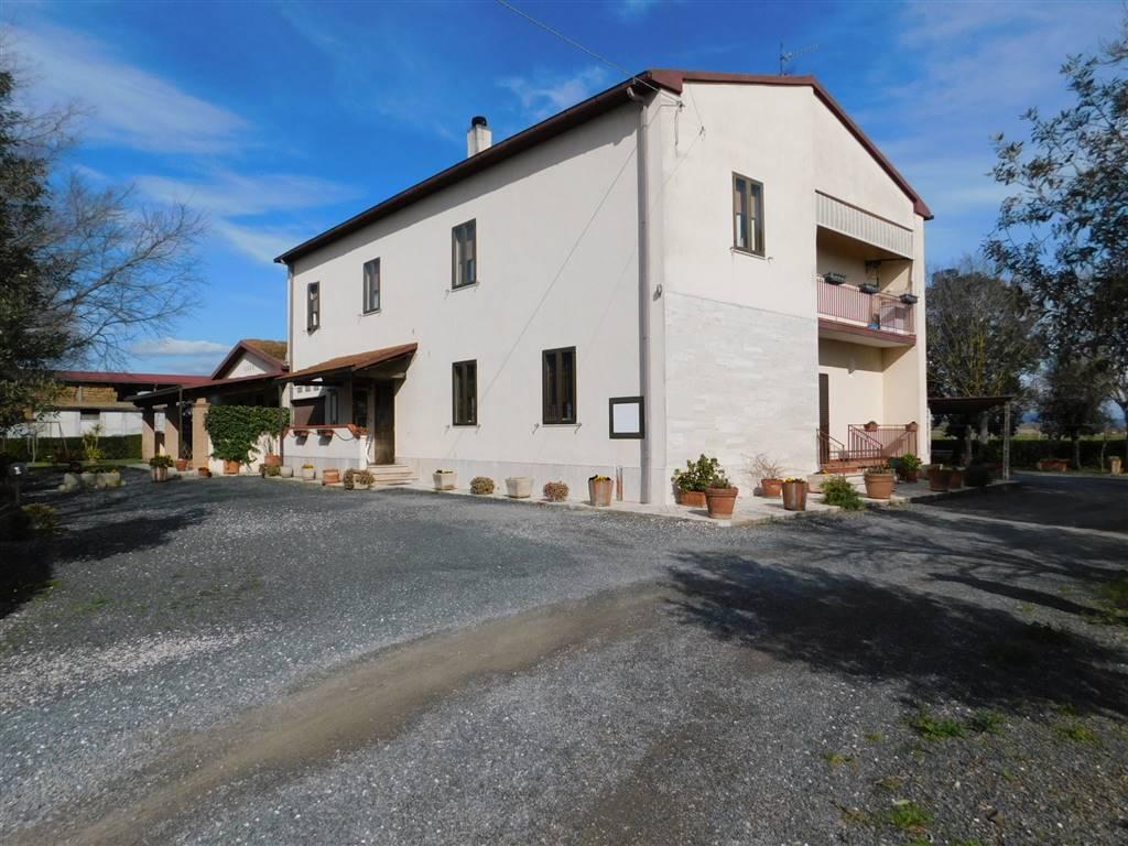 Azienda agricola in , Grosseto, {3} - Foto 2