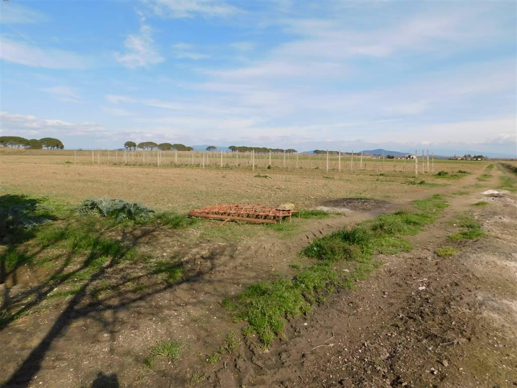 Azienda agricola in , Grosseto, {3} - Foto 1