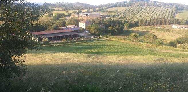 Azienda agricola in , Campagnatico, {3} - Foto 2
