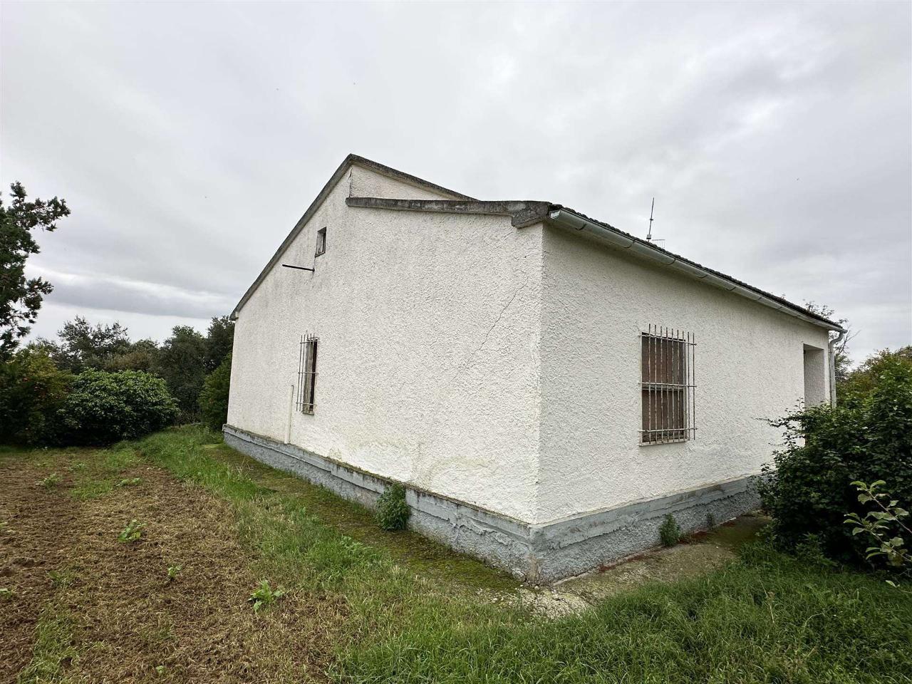 Azienda agricola in , Roccastrada, {3} - Foto 1