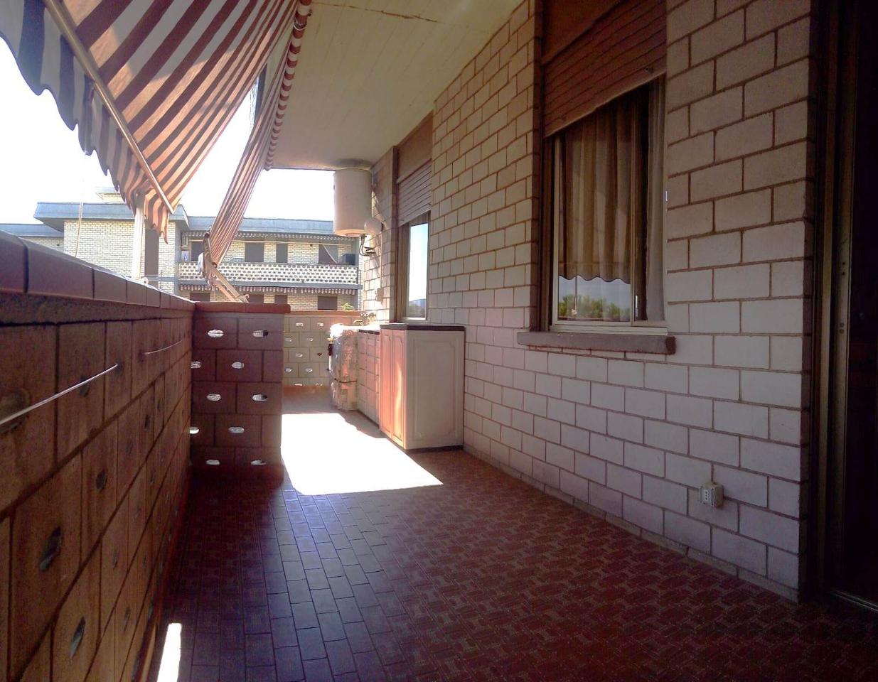 immagine annuncio 2 di 12