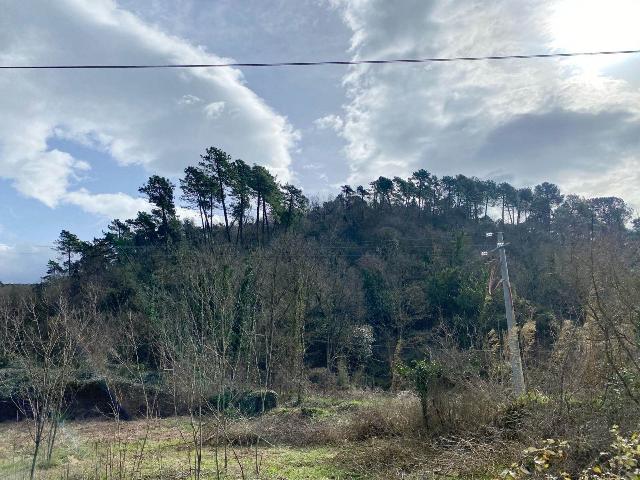 Agricultural land, Sarzana - Photo 1