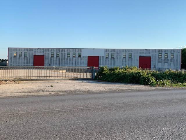 Industrial shed in Ss16, Foggia - Photo 1