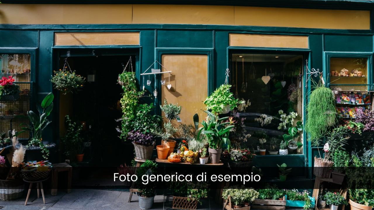 Edicola in , Sarzana, {3} - Foto 1