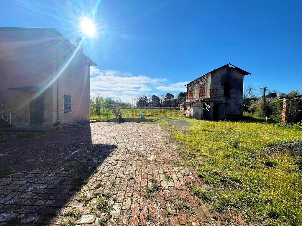 immagine annuncio 4 di 9