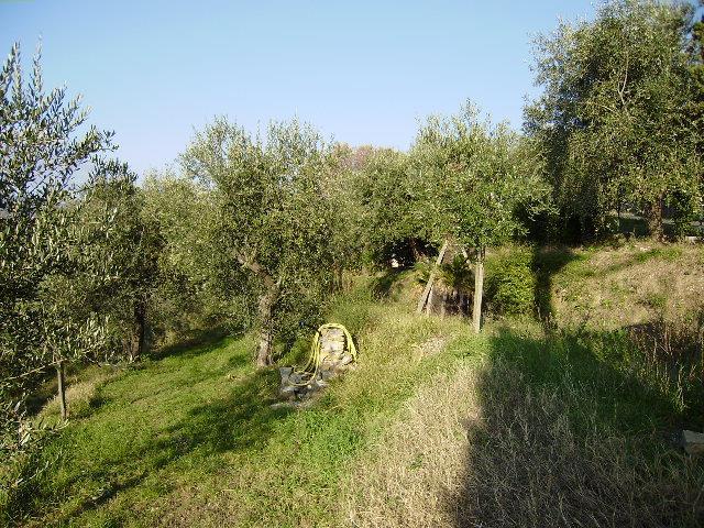 immagine annuncio 3 di 11