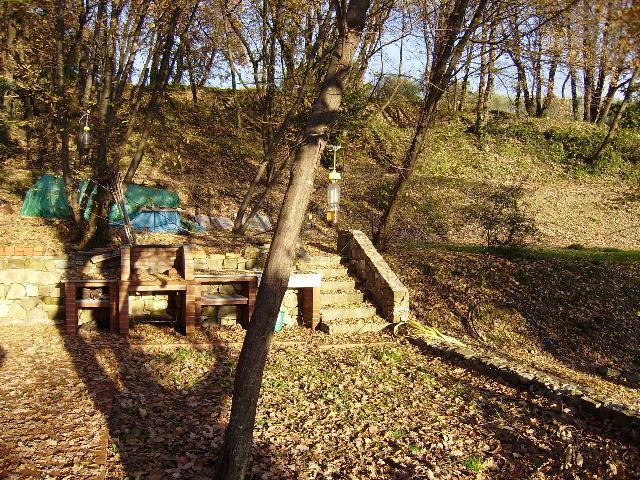 immagine annuncio 6 di 11