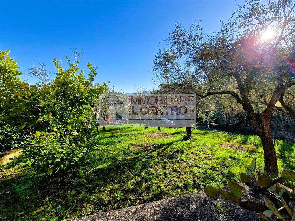 immagine annuncio 6 di 14