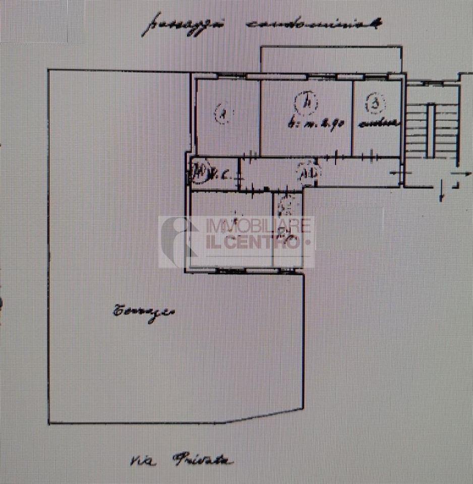 immagine annuncio 5 di 6