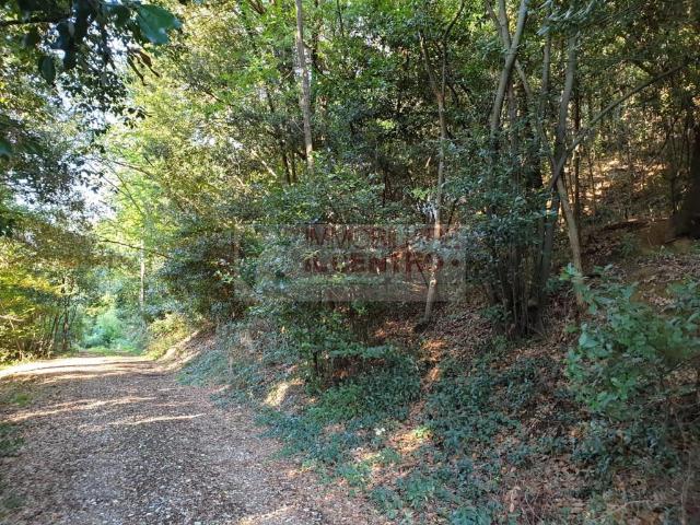 Agricultural land, Sarzana - Photo 1